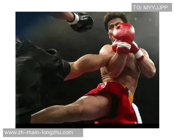 柳海龙与宝力高激战正酣谁将成为拳坛新王者的传奇对决